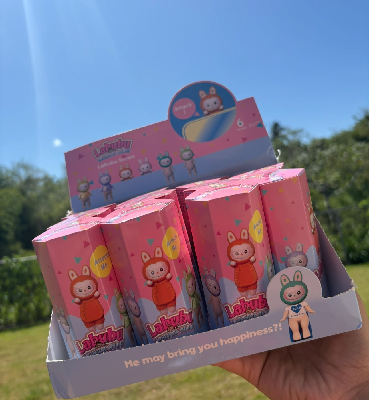 Sonny Angel Labubu